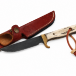 Polished Deer Antler