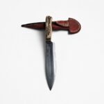 Polished Deer Antler